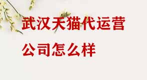 武漢天貓代運(yùn)營公司怎么樣