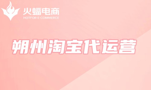 朔州淘寶代運(yùn)營 朔州淘寶代運(yùn)營