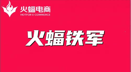 韶華恰逢少年時，海豹的電商運營之路